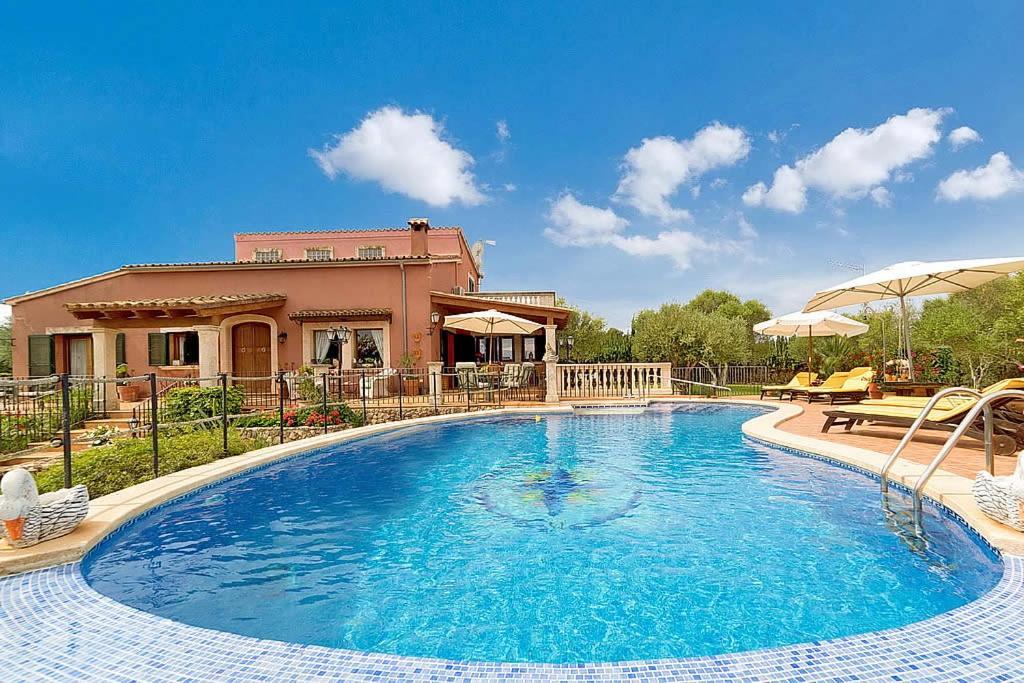 Diver Can Picafort (Mallorca)